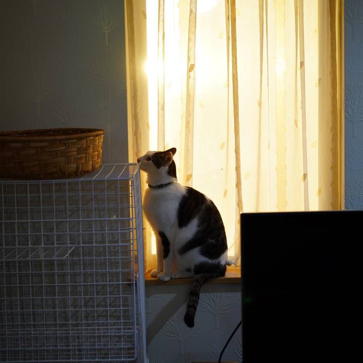 2d4cc37c 90c4 4b81 aa1d da77b9458e97 1575365613967