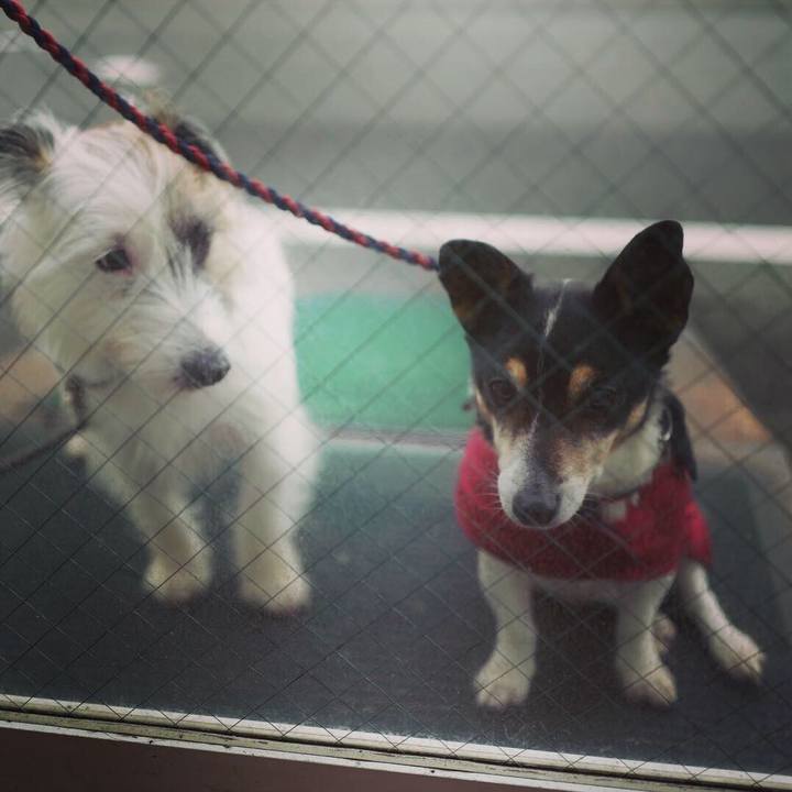 2d4ccf90 6ae2 45ac 8481 6449001342ca 1552712605032