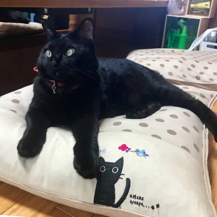 2d4cd2f2 e05c 48c5 8ca7 3065b2a9d3f1 1531807351679