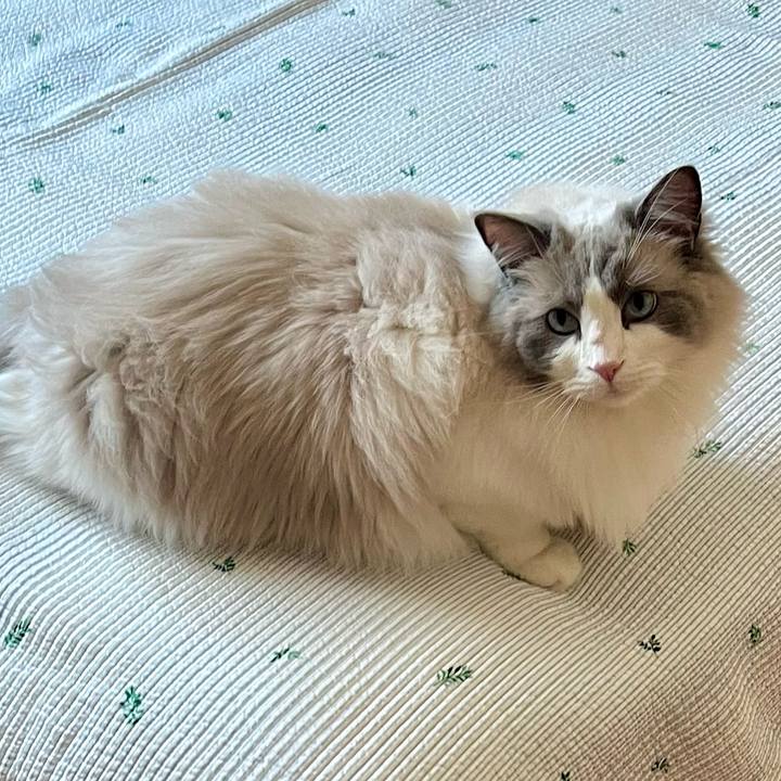 2d4d104c 0c39 4e98 91ca 34cc28b050b6 1653370699832