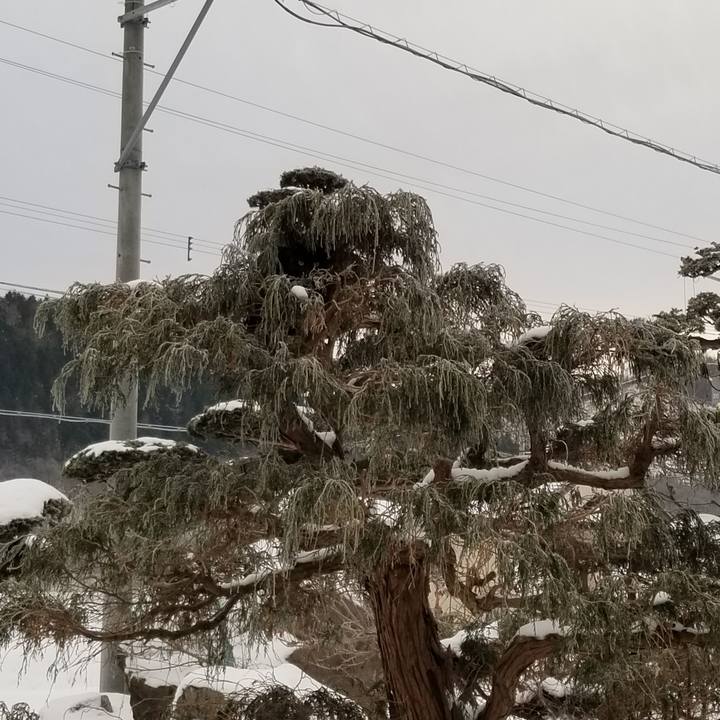 2d4d182b 9178 4a8b 81a5 c949a954597c 1576588513506