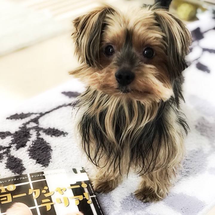 2d4d1b7c a60b 47a7 808e 28517462758a 1519513148157