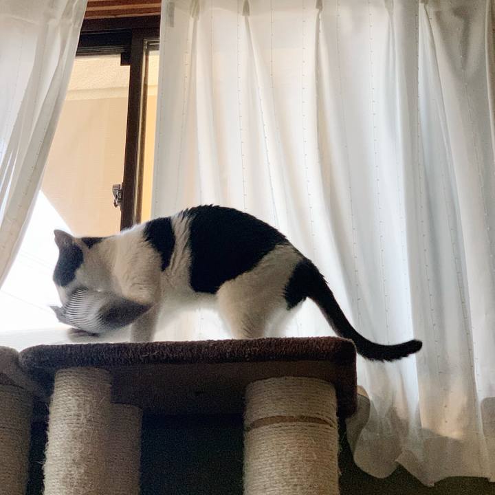 2d4d265e 57d1 4a62 be2e 24f9ef51f795 1541990117534