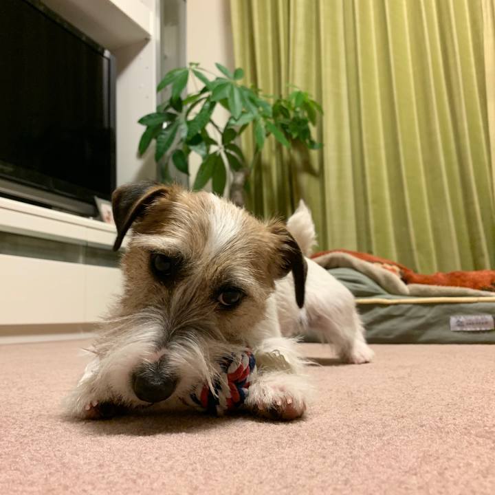 2d4d4175 79dc 4924 8744 597e128be0f8 1580640957008