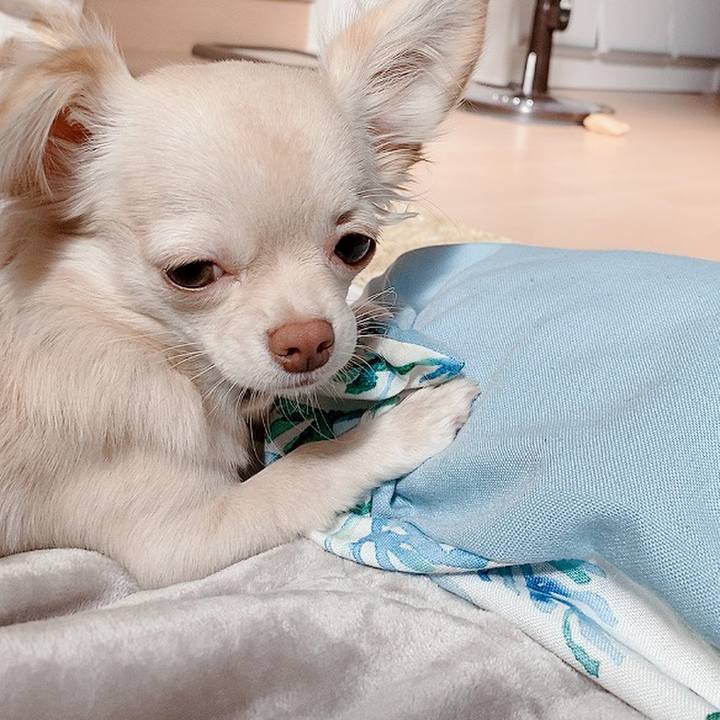 2d4d5231 e9f1 43c9 b698 e280743e77e0 1603627603436