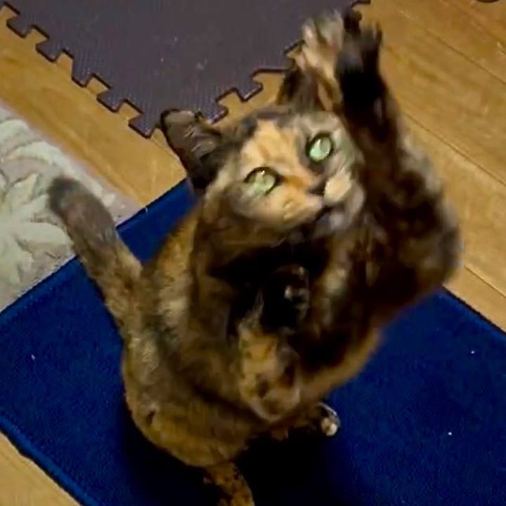 2d4d5bf8 6944 4cd0 b4b8 a77430a0f32a 1764620953567