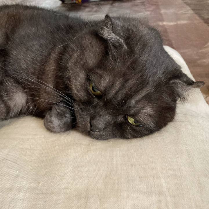 2d4d6c2e 3ab2 449c ab0a 2b20a3cf3e65 1592961375493