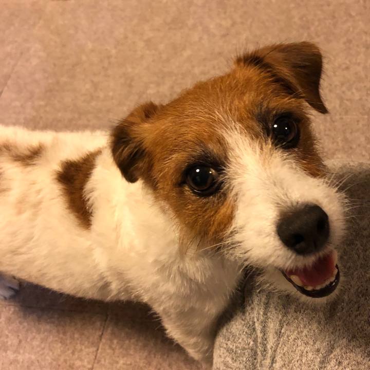 2d4d719a 0668 4253 a159 c53d9f97d8d0 1571724400370