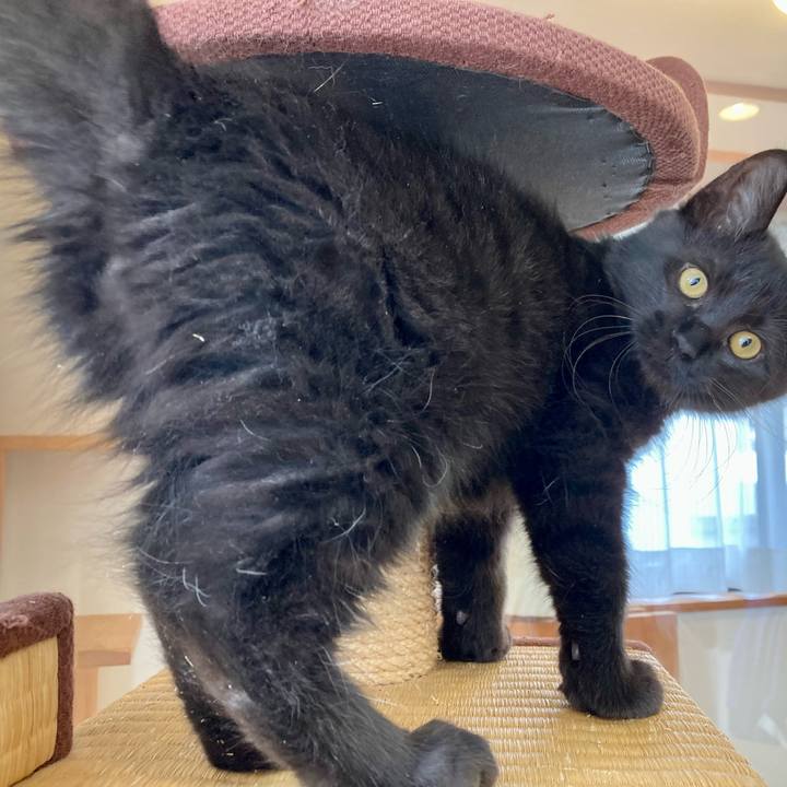 2d4dada0 e5ec 47ff 8dca 9dca8c9e4b93 1702975628444