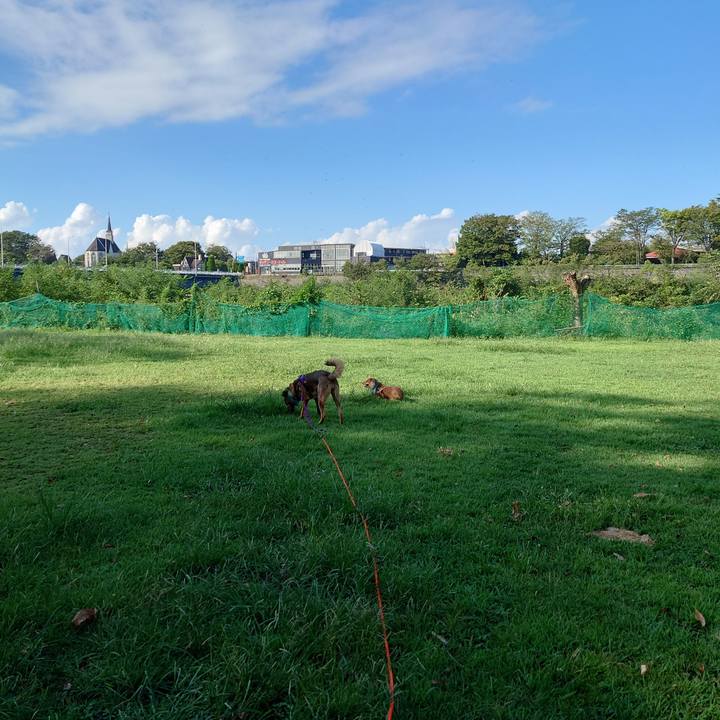 2d4dc04c 3ecb 4fa5 95db 723ffc41ffb4 1693016616144