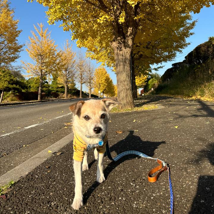 2d4e0f59 da43 4340 bc0c c9efc5a4c547 1700814746464