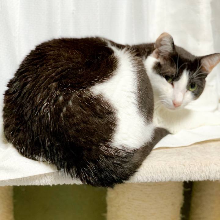 2d4e17be a910 4d5f 97dc 54fa183387f6 1561944706713