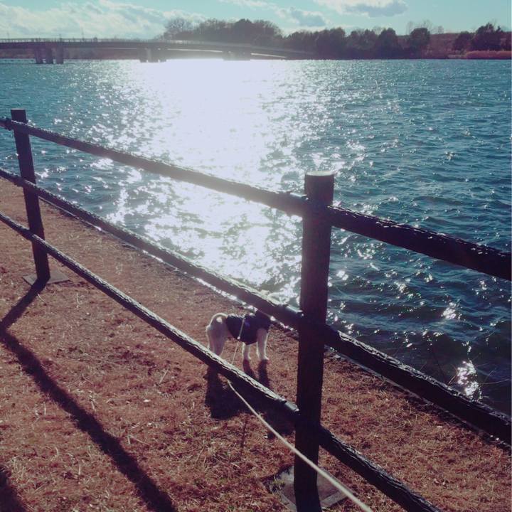 2d4e371e 7cfe 4b98 b319 6447021b6c4e 1546161827582