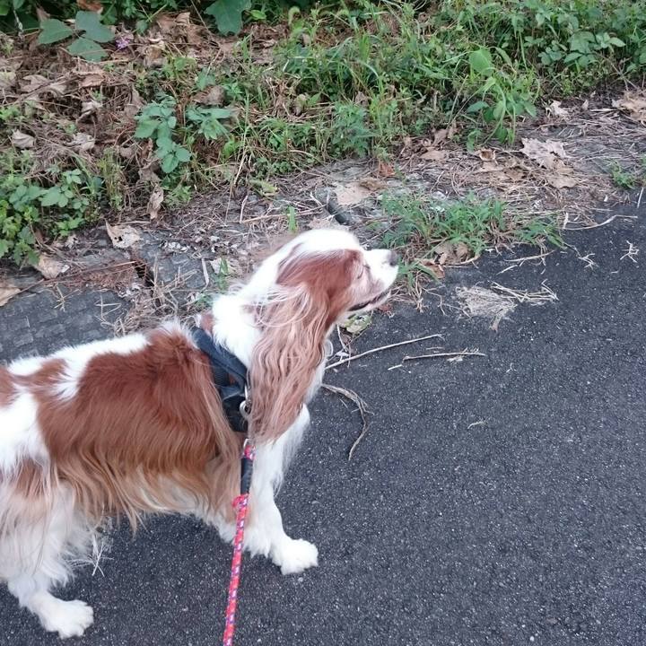 2d4e8a68 ae1c 4554 8932 5badc9e55642 1568363666809