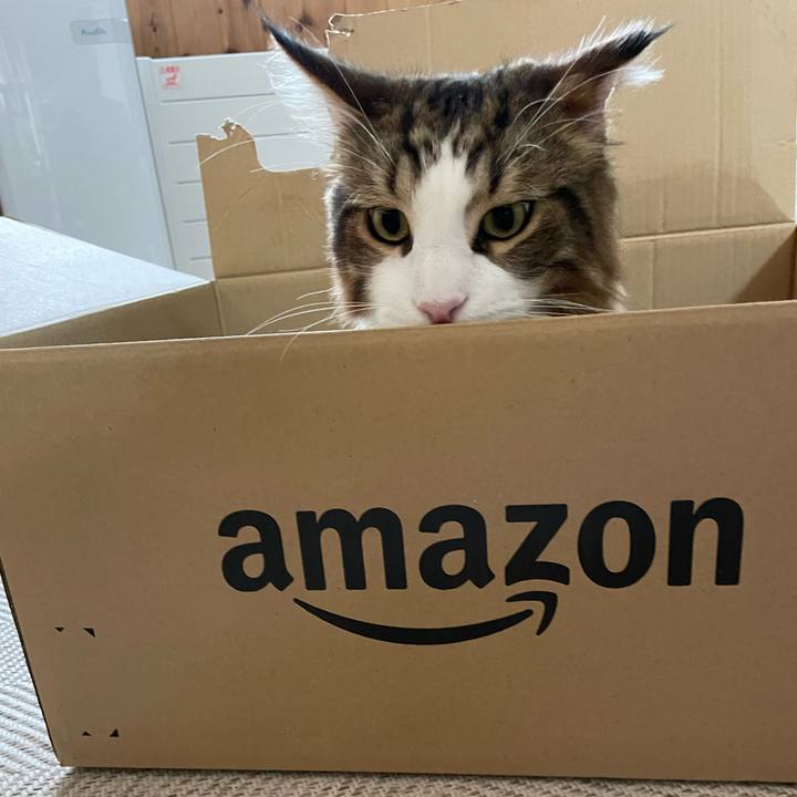 2d4edba2 9132 494b b9ed 6e5e918f2f17 1659820845618