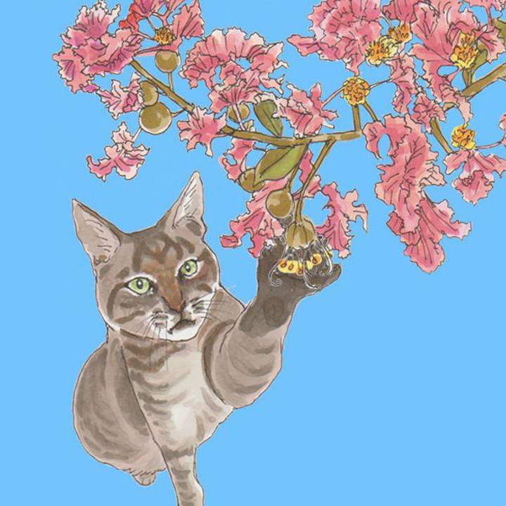 2d4ee293 cf3a 498a 843c f9e8f6bf588b 1625361099692