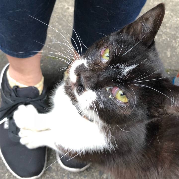 2d4efba0 55a3 4b03 8cb7 4f9f4e7b1c9b 1688477033093