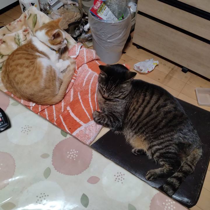 2d4f0607 ced3 449d aab3 5ae90d67e682 1739447332030