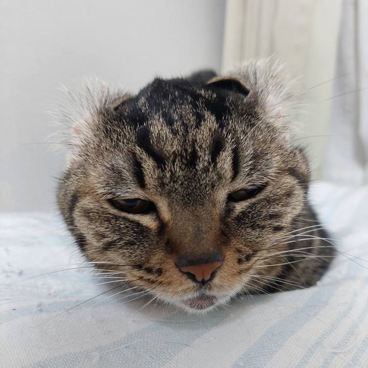 2d4f0b42 640b 4889 a32e 7678c99c261a 1694823891116