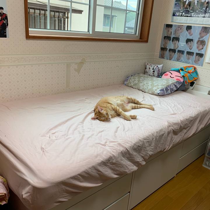 2d4f3358 721d 4df0 bed6 f3ceb111045f 1563404325748