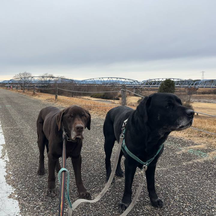 2d4f40ea cb88 44b2 adc0 8c4be74cee43 1770462418843