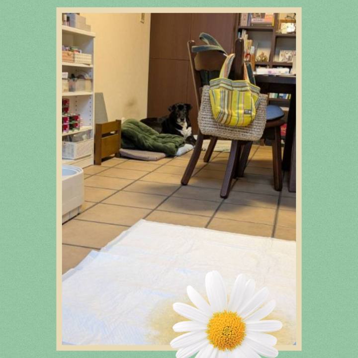 2d4fb865 b540 4c21 9714 858f96ead7eb 1745534153990