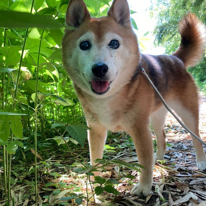 2d4fd836 94e2 463b b570 edb7f55ebdb2 1749278403631