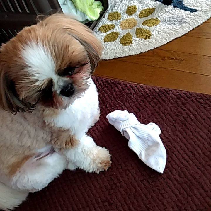 2d4fdc0e 191d 440b a093 e1bc3362dcdd 1621508620952