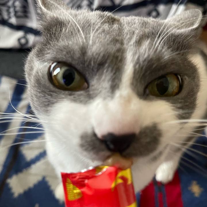 2d4ff20d 7c3d 4959 a77e a94224d45ec3 1678780562365