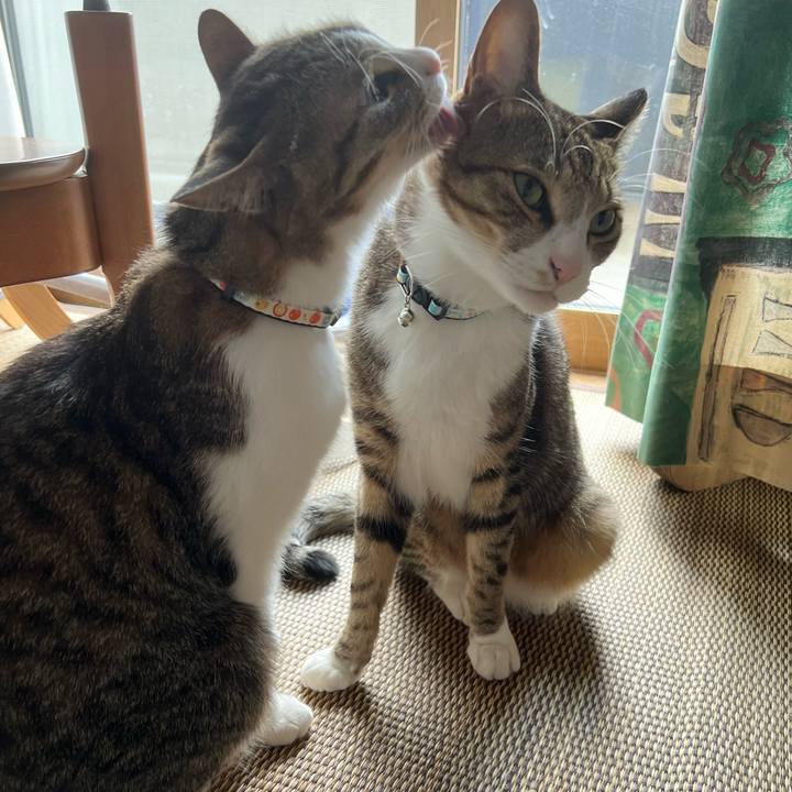 2d502ed0 020a 4b9b 8f24 a34f70b520e9 1731881192381