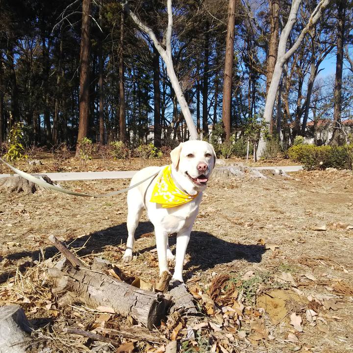 2d502f31 8f09 4018 bcf4 dfd6e0d9c42a 1548052666386