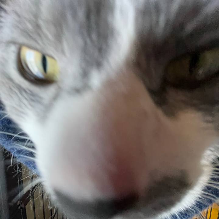 2d503e2b 0311 4274 be57 db3f58beccc6 1658553359481