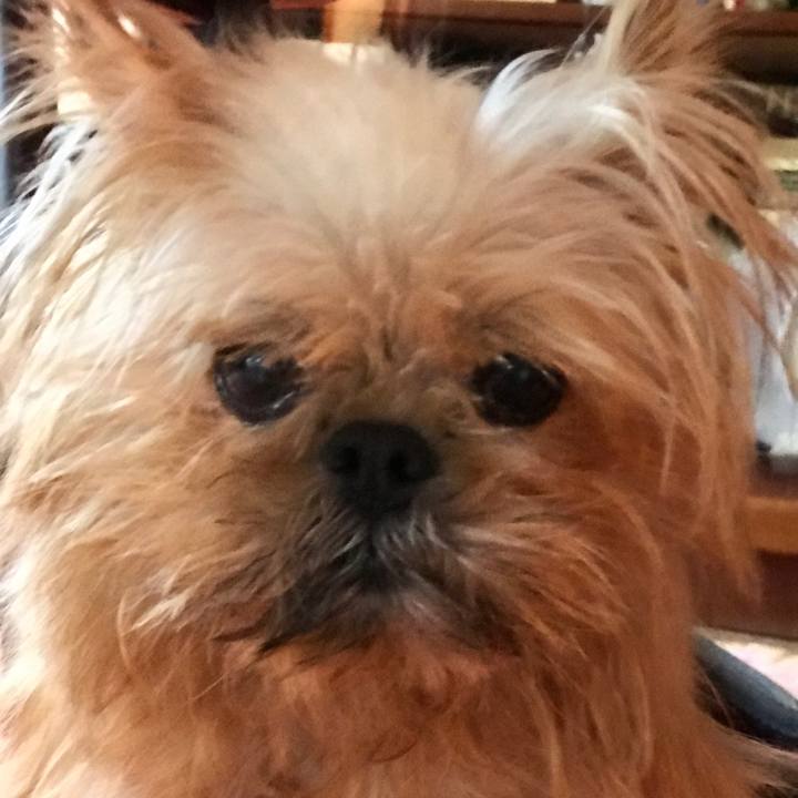 2d504649 ba19 4a09 a70d 369ef32f8a5b 1577144598175