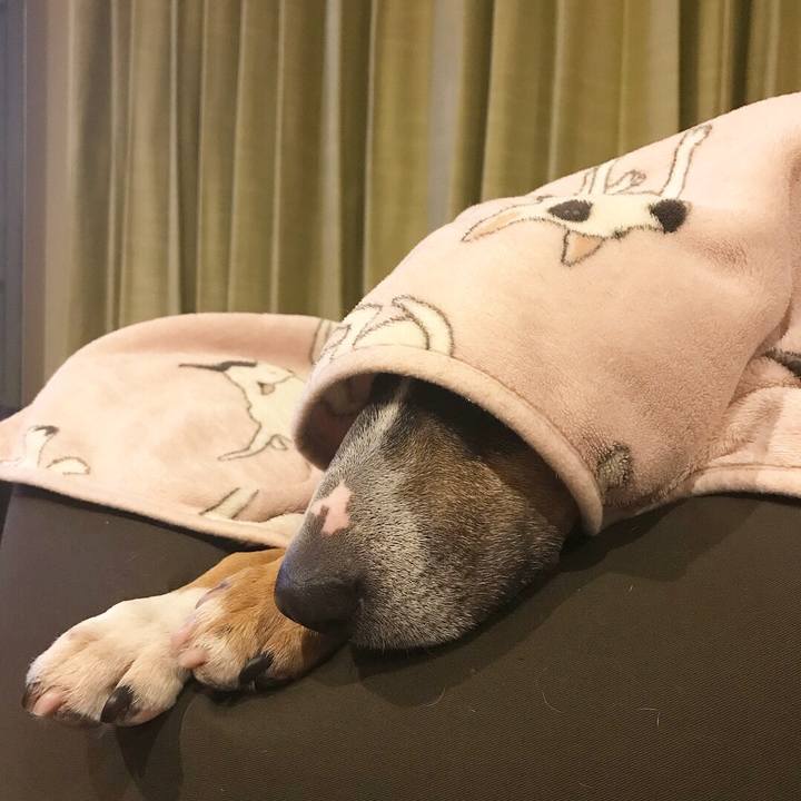 2d505d97 2705 4c5a 8c38 5eb8b7896398 1515407586733