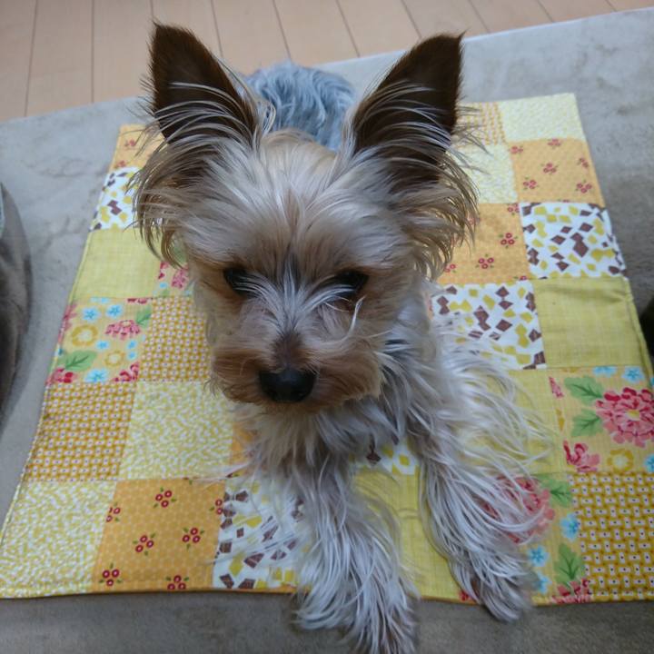 2d5061a4 3d47 4c59 b7ef d314b4348404 1526104728844