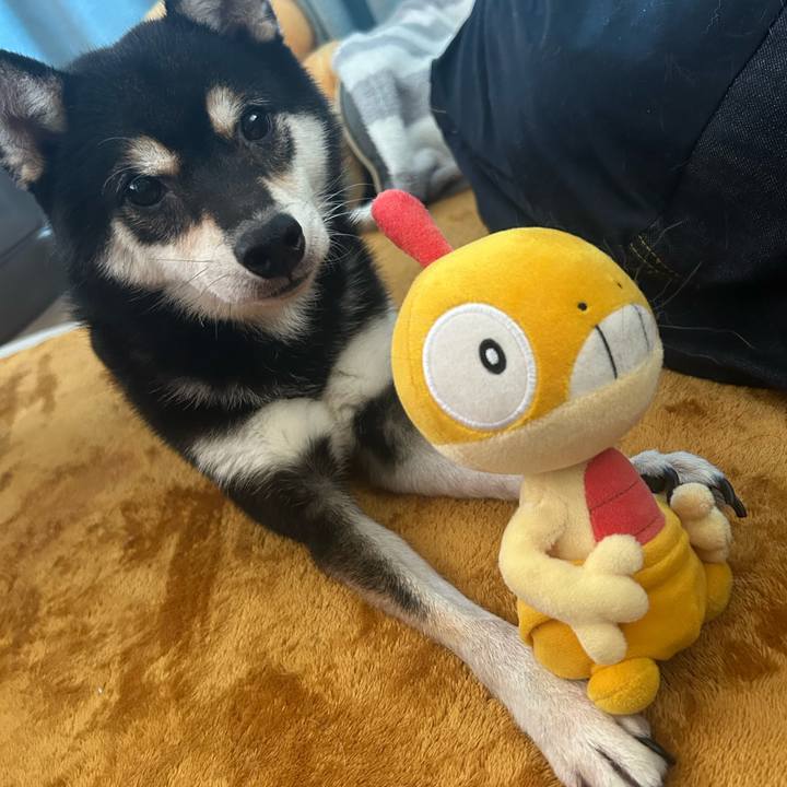 2d508f0f 7d78 47d7 be0e dfbc8f12b0f3 1763097936765