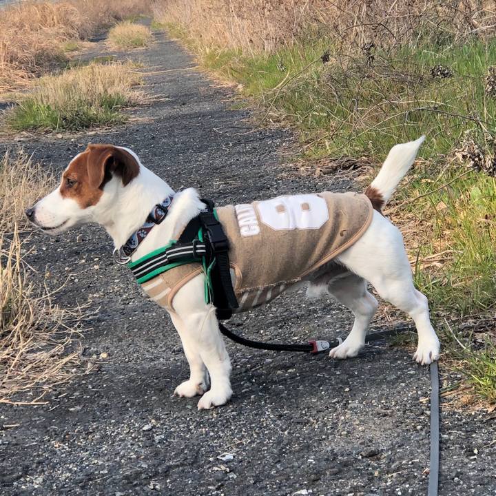 2d509a9f 5de4 49d1 bf81 2ac0b25d4041 1551515913391