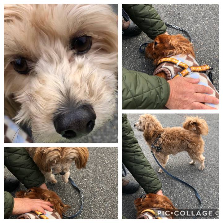 2d50b438 f54c 42a4 8ae3 1b083cd339cd 1581121777044