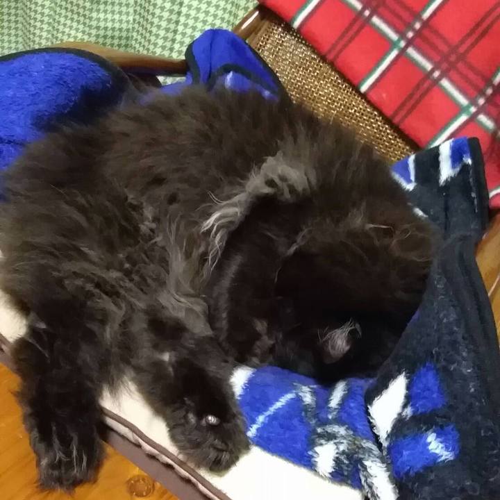 2d50d8c6 b15f 4391 836a 0cf14f09a9f4 1510975549763