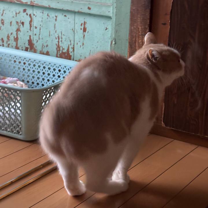 2d50eb9d c583 4ca5 b6d5 f6947ef1a2d1 1762730766137