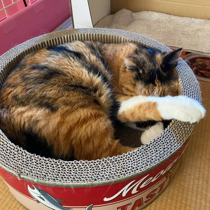 2d50fc41 a145 45c3 a2c2 d1f3c419cae2 1601619707708