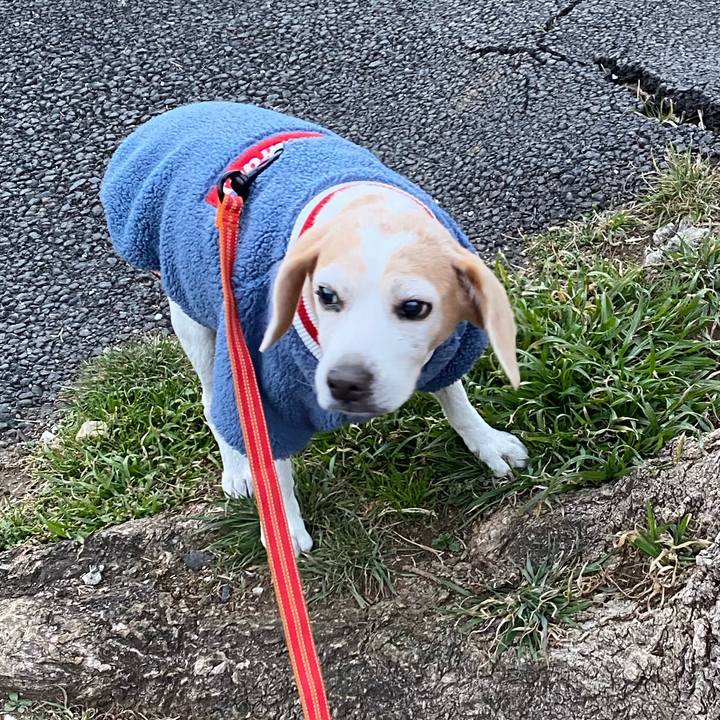 2d5124b0 68ab 4ba6 88d0 e15b71c0eb50 1612829299314