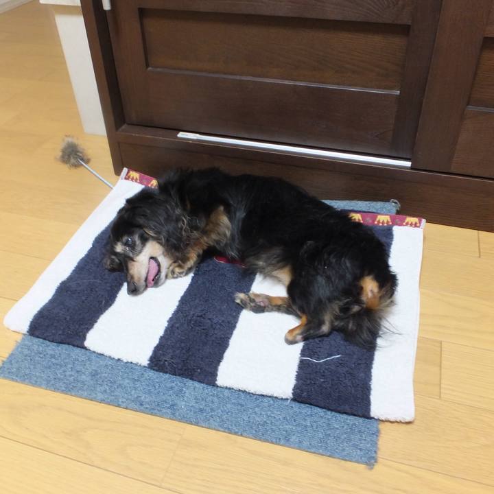 2d5144a4 ffd9 409f 87c0 c5429c7331c3 1630988527568