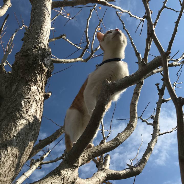 2d51479b 1969 4fed b4df 2fe1bc066322 1511691145060