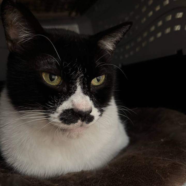 2d5162d2 0889 4f6b 85b0 242c41e508a3 1760488852104