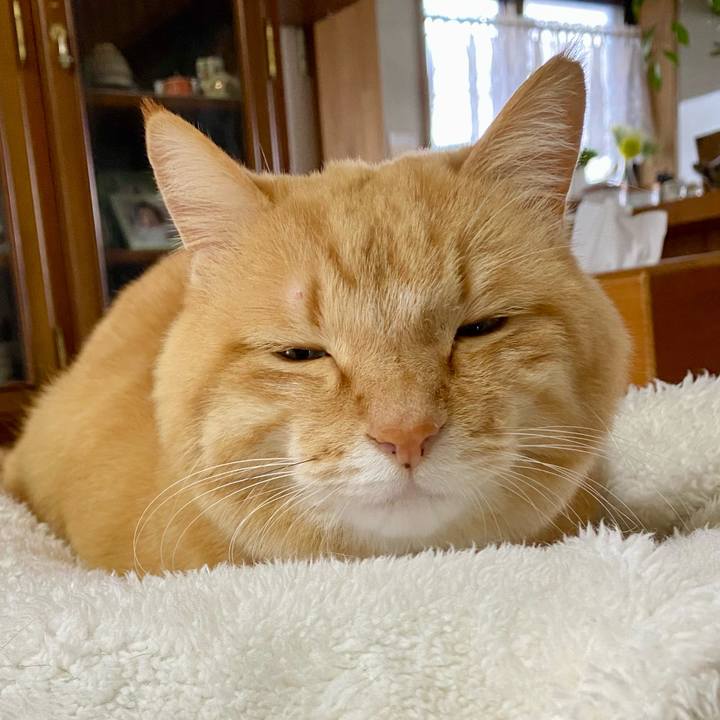 2d516e66 31a5 4dc7 9a16 127c3cbfc7af 1705359749962