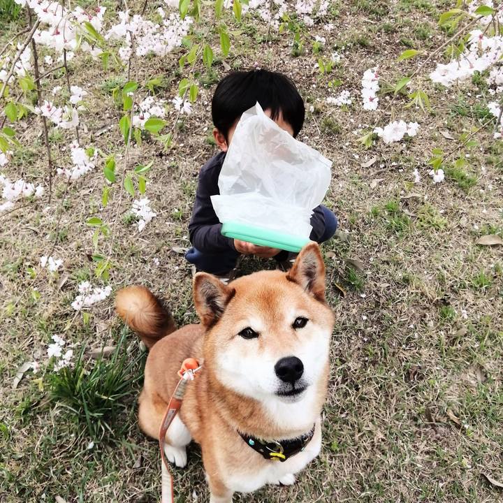 2d519987 11e6 4e7d 821f fa7d99ed48c1 1617453997805