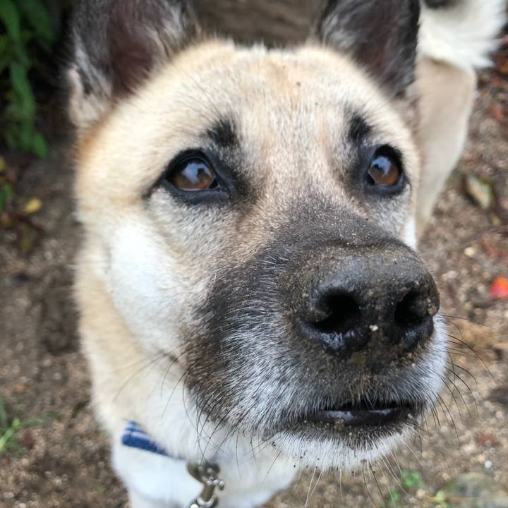 2d51bf77 16ee 4918 8cfb ba483652fdb2 1571993530428