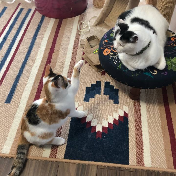 2d51edc0 505e 40f9 9c6b b6847b5828f7 1567640074092