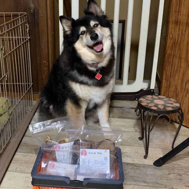 2d51f9cc 7159 47a3 8ec3 aceb5d17eec7 1655709114997